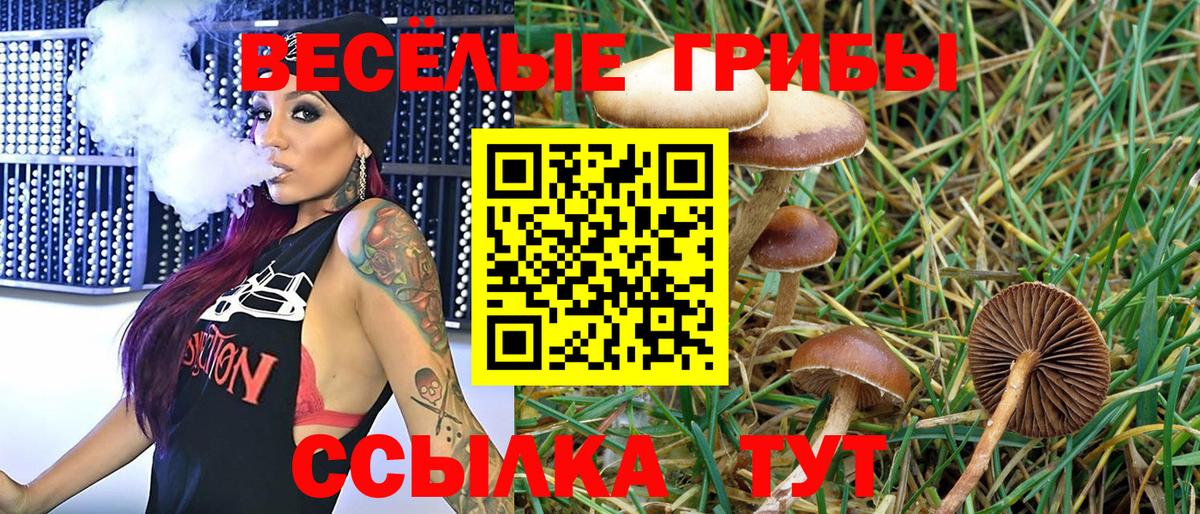 Псилоцибиновые грибы мухоморы Узловая